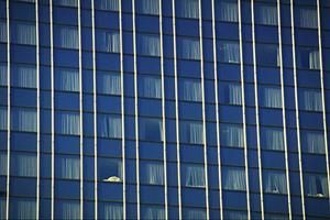 鎌ケ谷で評判の不動産会社なら安心