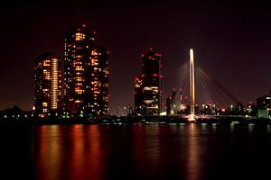 青梅市にはとても多くの一戸建てがあります