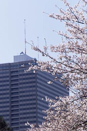 妙高市　降雪地域の土地活用について