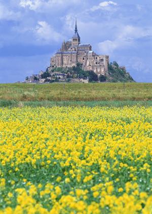 相談できる山口の地元密着の不動産