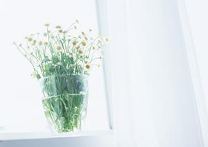 コンテナ買い取りを行う業者の利用方法